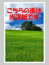 片面光沢紙（写真用紙） ハガキサイズ 100枚入り 厚手 郵便番号枠無し フォトペーパー_画像2