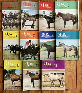 優駿 1980年刊行号 11冊セット 4月号欠　日本中央競馬会 まとめ売り☆トライバルチーフ ダンディルート 第40回皐月賞他　12いy