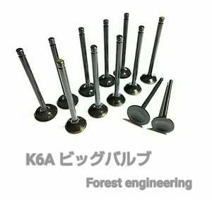 K6A　ビッグバルブ　フォレストエンジニアリング