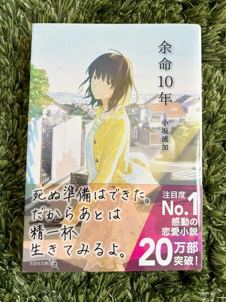 余命１０年 （文芸社文庫ＮＥＯ　こ５－１） 小坂流加／著