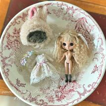 ◇◆◇ omochi カスタムプチブライス #17「Wild Rabbit」◇◆◇ Petit Blythe カスタムブライス_画像10