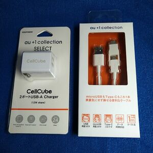 2ポートUSB-A Charger、Type-C変換コネクタ付両面USBケーブル(Type-C←→Type-B 変換コネクタ)