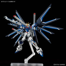 HG 1/144 ライジングフリーダムガンダム バンダイ_画像4