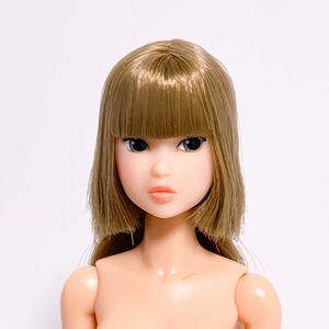 PW-momoko ae [A-F] LIZ 本体 momokodoll 