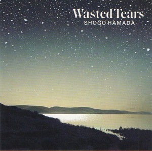 浜田省吾 / Wasted Tears ウェイステッド・ティアーズ / 1989.09.01 / バラード・ベスト / BOX仕様,別冊ブックレット付 / 32DH-5269