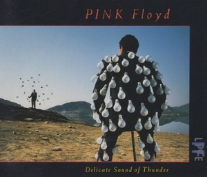 ピンク・フロイド PINK FLOYD / 光～PERFECT LIVE -DELICATE SOUND OF THUNDER- / 1988.12.07 / ライブアルバム / 2CD / 42DP-5294-5