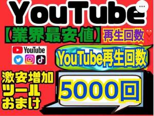 業界最安値★高品質【YouTube再生回数5000回おまけ】増加ツールのセット！！