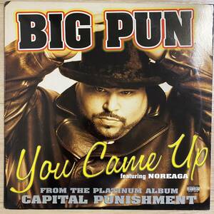 ● Big Punisher Feat. Noreaga / You Came Up / US 12’ レコード / ビックパニッシャー ノリエガ