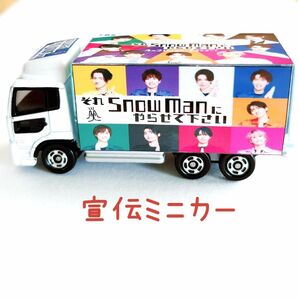 SnowMan＊それスノミニカー