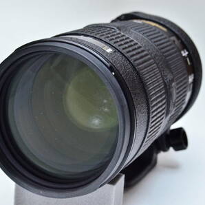 Nikon AF-S NIKKOR ED 80-200mm F2.8D の画像5