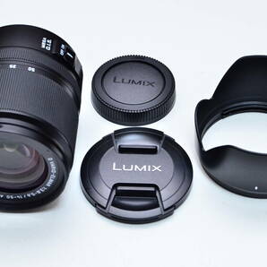 Panasonic LUMIX D VARIO-ELMAR 14-50mm F3.8-5.6 ASPH.MEGA O.I.S 極上品の画像9