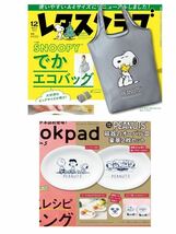 雑誌付録 スヌーピー テーブル、バッグ、ポーチ、スタンプセットなど いろいろ 18点_画像3