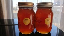 日本蜜蜂 蜂蜜 2瓶 令和6年3月採蜜 1194.9g_画像1