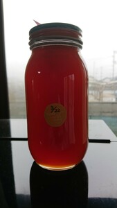 日本蜜蜂 蜂蜜 1瓶 令和6年3月採蜜 1017.5g