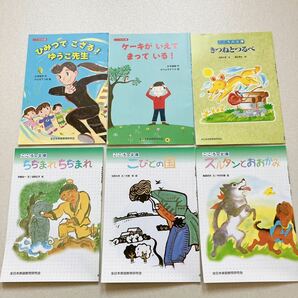 【30冊】 全日本家庭教育研究会 ポピー こころの文庫 小学生 児童書 名作 民話 おとぎばなし むかしばなし こびとの国 イソップものがたりの画像6