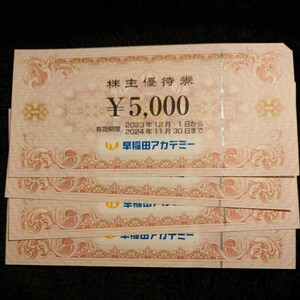 早稲田アカデミー 株主優待 20000円分