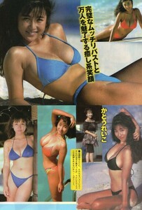 ))切り抜き 宮崎美子 永作博美 細川ふみえ 斉藤慶子 小池栄子 水島裕子 盛本真理子 アグネスラム 水野裕子 かとうれいこ