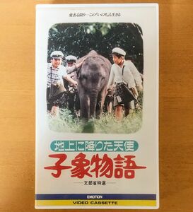 未定DVD化 激レア 子象物語 地上に降りた天使 VHS vhs ビデオテープ 廃盤 日本映画 感動ドラマ 武田鉄矢 水谷麻里 