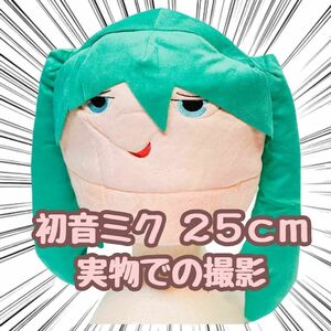  Hatsune Miku шляпа костюмированная игра головной убор 25cm свободный размер внутренний [ осталось 5 ограничение ]