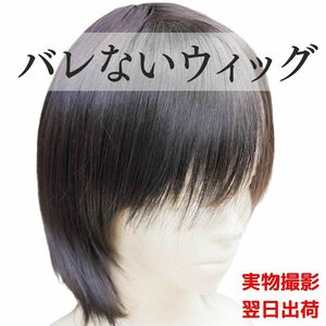  wig Korea mash natural Brown burnt tea color 27cm[ actual article or goods photographing ]