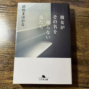 沼田まほかる「彼女がその名を知らない鳥たち」(幻冬舎文庫)