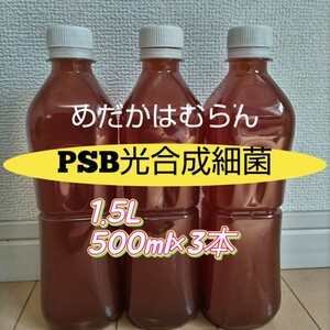 【1500ml】PSB光合成細菌【めだか_はむらん】メダカ　金魚　ゾウリムシ ミジンコ　エサ　水質浄化　ヌマエビ　液肥　psb