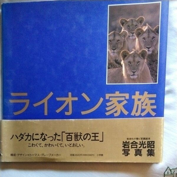 ライオン家族 岩合光昭／〔撮影〕