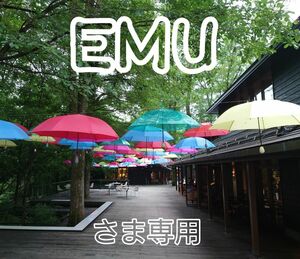 EMUさま専用