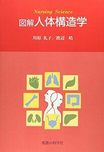 [A11032620]図解 人体構造学 (Nursing Science) 礼子，川原; 皓，渡辺