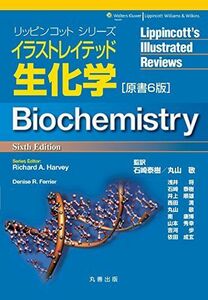 [A01357885]イラストレイテッド生化学　原書6版 (リッピンコットシリーズ) 石崎 泰樹; 丸山 敬