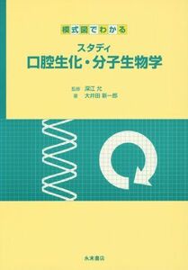 [A12031438]スタディ口腔生化・分子生物学