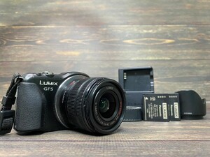 Panasonic パナソニック LUMIX GF5 レンズキット ミラーレス一眼カメラ #12