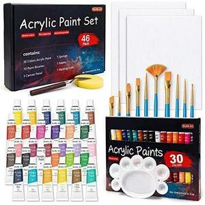 Shuttle Art acrylic paint acrylic fiber pigment 46 point set 30 color paint brush 10ps.@pa rate attaching speed . endurance tube 12ml handmade 