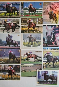  horse racing card kyo way March various 14 sheets 