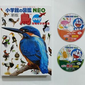 小学館の図鑑NEO　新版　鳥　DVD付き　　昆虫 DVD