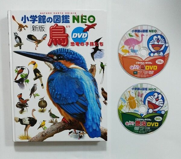 小学館の図鑑NEO　新版　鳥　DVD付き　　昆虫 DVD