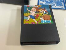 SEGA　セガ　マスターシステム　マーク3　箱説有り　 接点洗浄済 ガールズガーデン SAKA3_画像2