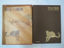 学研 野生の脅威 尾沢栄三 編集 昭和５０年発行 希少品 送料着払い 中古品_画像2