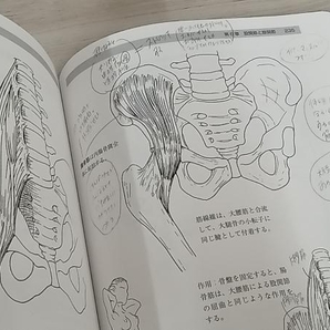 【ジャンク】 新 動きの解剖学 B.K.ジェルマンの画像9