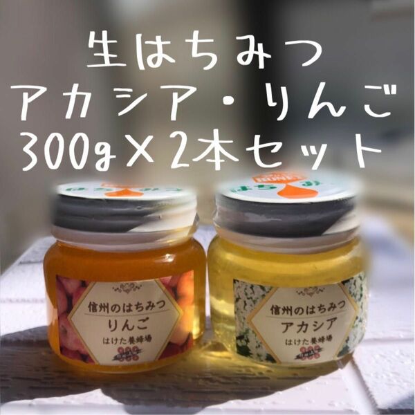 アカシア りんご 生はちみつ 300g 2本セット 国産　蜂蜜 【生産者直送】