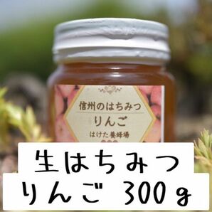 りんご 生はちみつ 300g 国産　蜂蜜 【生産者直送】