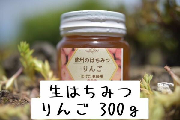 りんご 生はちみつ 300g 国産　蜂蜜 【生産者直送】