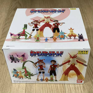 ポケモンスケールワールド ホウエン地方 セット BOX未開封 ハルカ アチャモ他