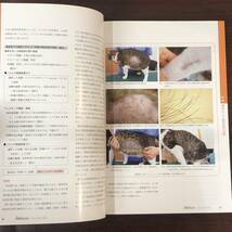 小動物皮膚科専門誌 Small Animal Dermatology 2011年　慢性化した皮膚疾患 まるごとわかる脱毛症　インターズー　獣医学　動物病院【A36】_画像4