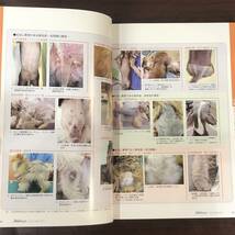 小動物皮膚科専門誌 Small Animal Dermatology 2011年　慢性化した皮膚疾患 まるごとわかる脱毛症　インターズー　獣医学　動物病院【A36】_画像3