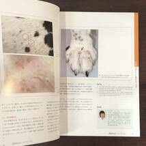 小動物皮膚科専門誌 Small Animal Dermatology 2011年　慢性化した皮膚疾患 再発する犬の膿皮症　インターズー　獣医学　動物病院【A36】_画像3