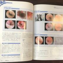 小動物皮膚科専門誌 Small Animal Dermatology 2011年　慢性化した皮膚疾患 再発する犬の膿皮症　インターズー　獣医学　動物病院【A36】_画像7