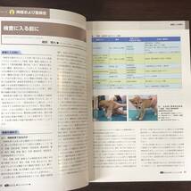 小動物内科専門誌 Small Animal Medicine 2012年　神経および筋疾患　インターズー　獣医学　動物病院【A36】_画像5