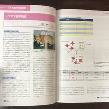 小動物内科専門誌 Small Animal Medicine 2014年　免疫介在性疾患　インターズー　獣医学　動物病院【A36】_画像6