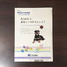 小動物内科専門誌 Small Animal Medicine 2014年　腫瘍［後編］　インターズー　獣医学　動物病院【A36】_画像2